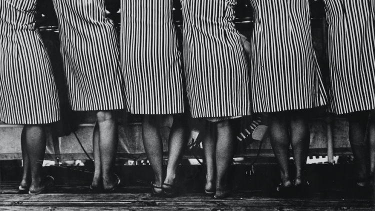 ‘Vestits de ratlles i cames’, de Carme Garcia de Ferrando.  Fons AFC.