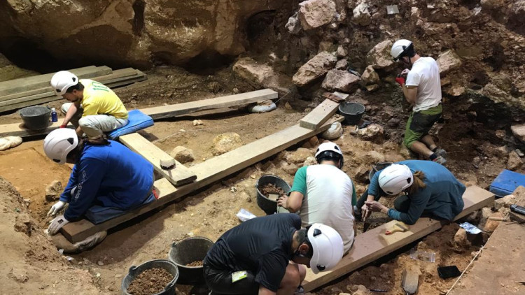 Atapuerca Sima del Elefante. Roberta Bosco