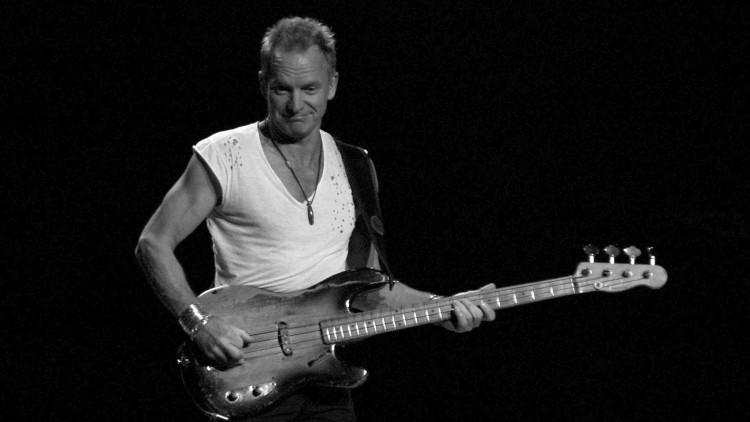Sting. Flickr