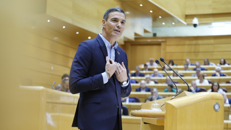 El president espanyol, Pedro Sánchez, al Senat. Europa Press