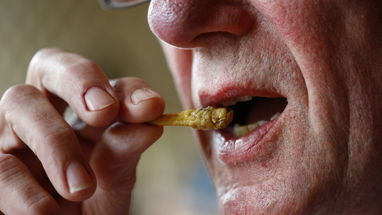 Una persona es menja un insecte fregit, en específic un grill.
