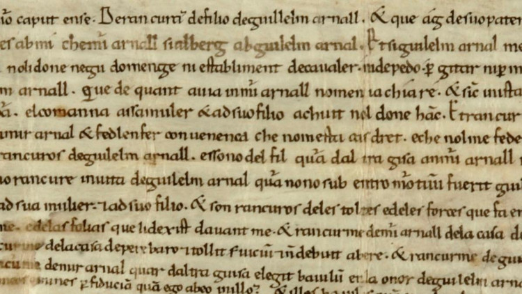 De quan és el primer text escrit en català? Doncs mireu, la llengua catalana té un testimoni escrit de l'any 976. Convindria celebra-lo i reivindicar-lo.