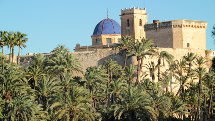 Imatge de la ciutat d’Elx amb la cúpula de la basílica de Santa Maria.