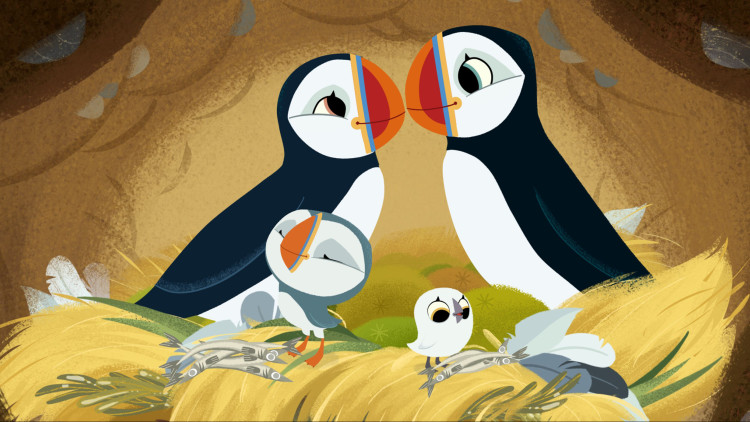 Puffin Rock