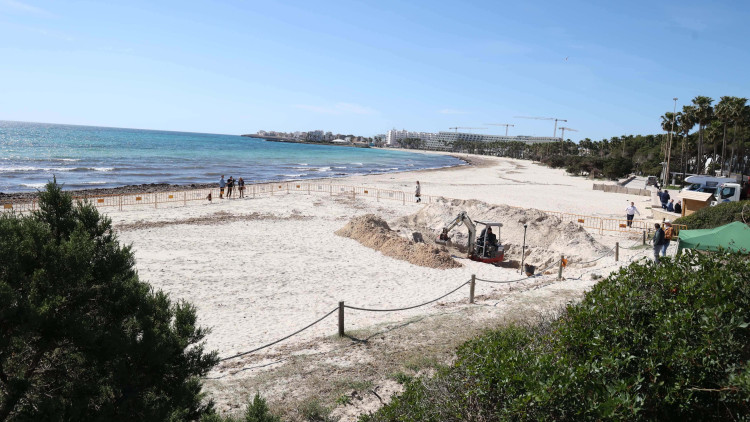 Una de les proves de les excavacions a la platja de sa Coma, on hi podria haver restes dels milicians republicans del desembarcament del capità Bayo. Isaac Buj