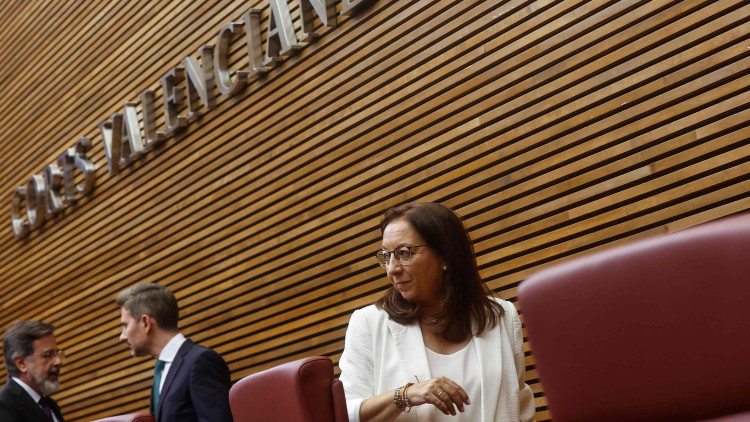 Llanos Massó, nova presidenta de les Corts Valencianes per Vox| Europa Press