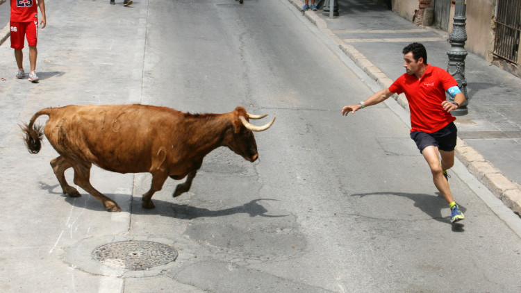 L’any passat, quasi un miler de persones van resultar ferides durant la celebració dels bous al carrer.