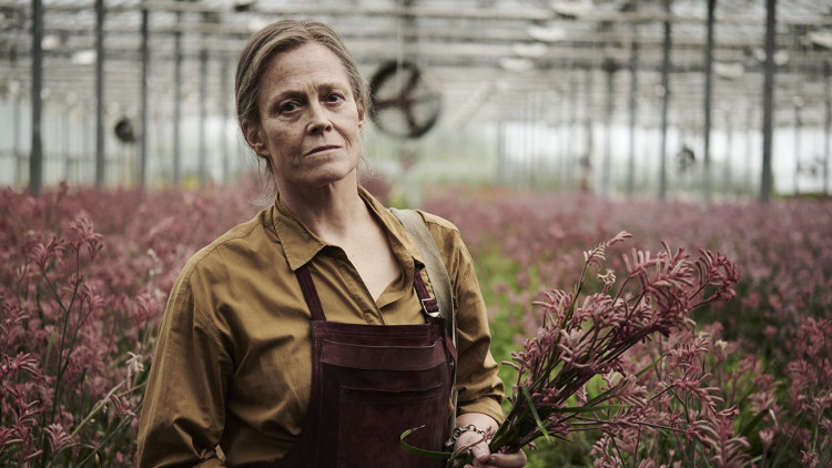 The Lost Flowers of Alice Hart