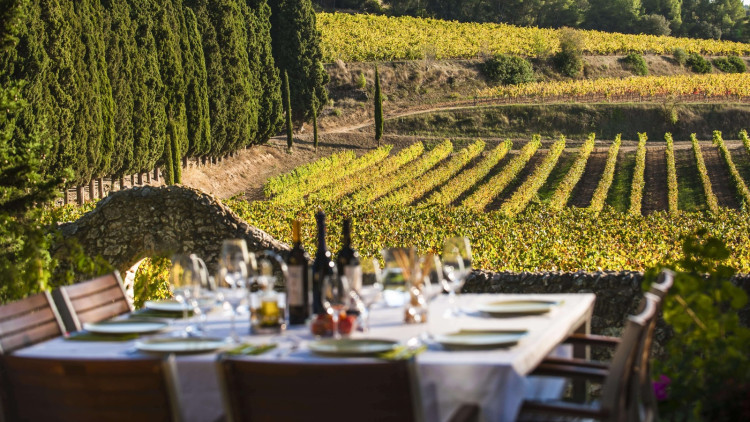 Dinar entre vinyes al celler Albet i Noya, al Penedès – Marc Castellet / ACT