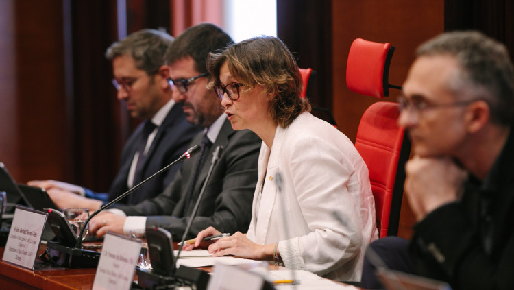 La consellera Serret, durant la presentació del cos d'acció exterior al Parlament. Generalitat de Catalunya