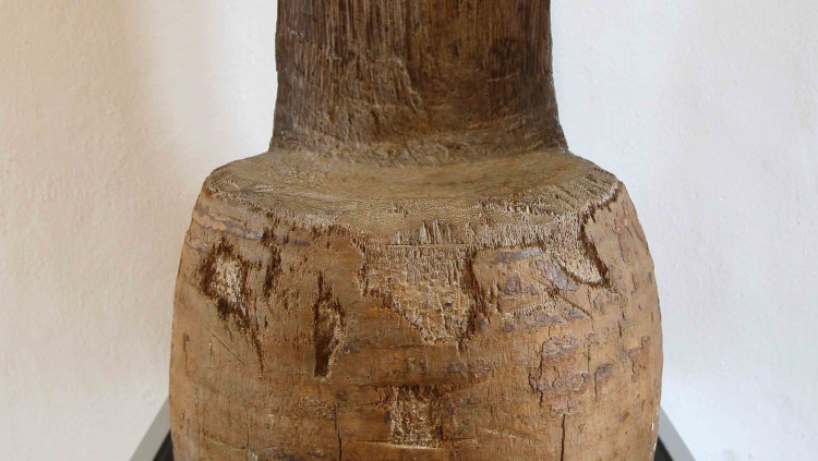 Cadira de Maceo. Isaac Buj - Arxiu EL TEMPS