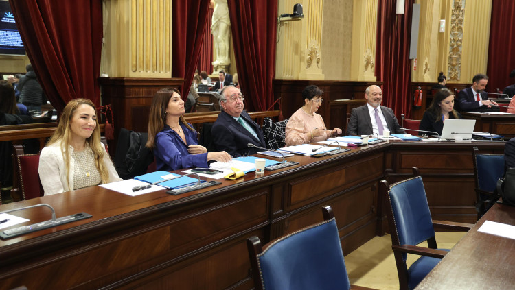Si el grup de Vox al Parlament balear esclata, podria ser que Marga Prohens es veiés obligada a convocar eleccions anticipades. Europa Press