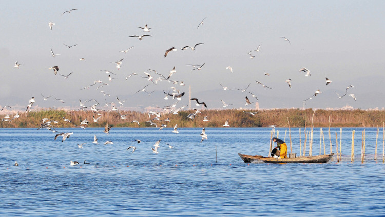 Una estampa de l'Albufera| Europa Press. 