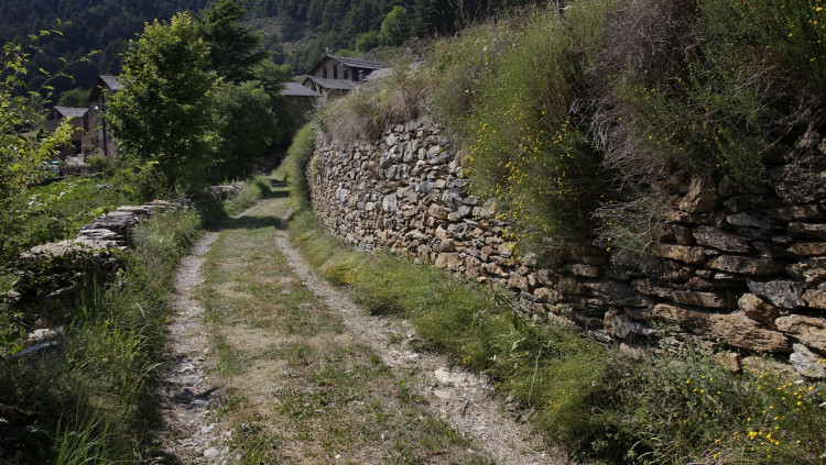 Camí de Mas d'Alins (Andorra) a Arduix (Alt Urgell)