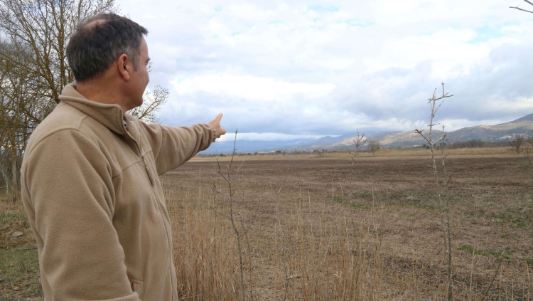 El director del Parc Natural dels Aiguamolls de l’Empordà, Sergi Romero, mostrant camps secs a la reserva dels Estanys on hi ha l’estany de Vilaüt.
