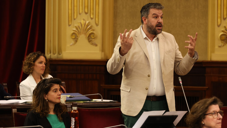 El diputat de Més per Mallorca, Lluís Apesteguia. Europa Press