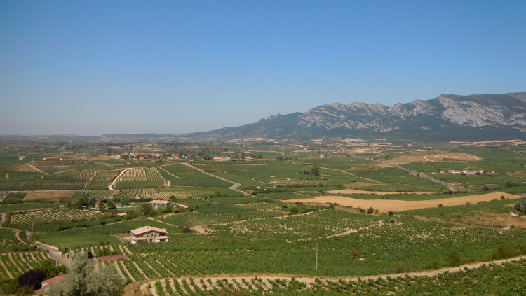 La Rioja alabesa