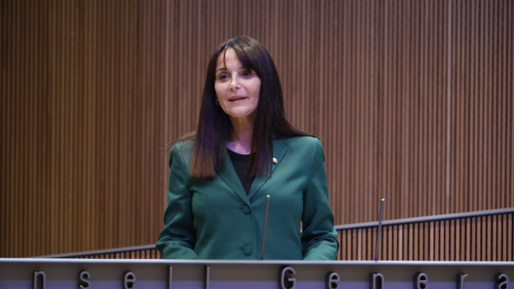 La ministra de Cultura d'Andorra, Mònica Bonell. Consell General