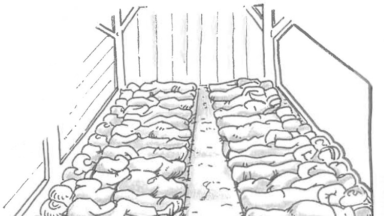A Setfonts, dormien tots amuntegats sobre la palla, entre rates i en barracons que havien construit ells mateixos, als quals els faltava una paret per facilitar la vigilància.