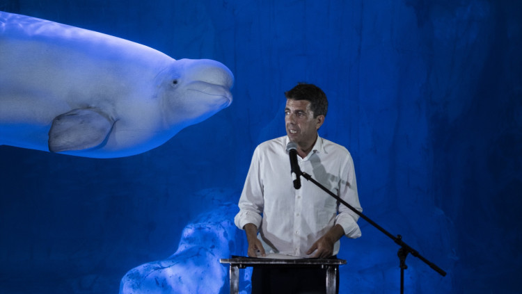 El president de la Generalitat Valenciana, Carlos Mazón, en una visita aquest dimecres a l'Oceanogràfic de València| Europa Press/Jorge Gil