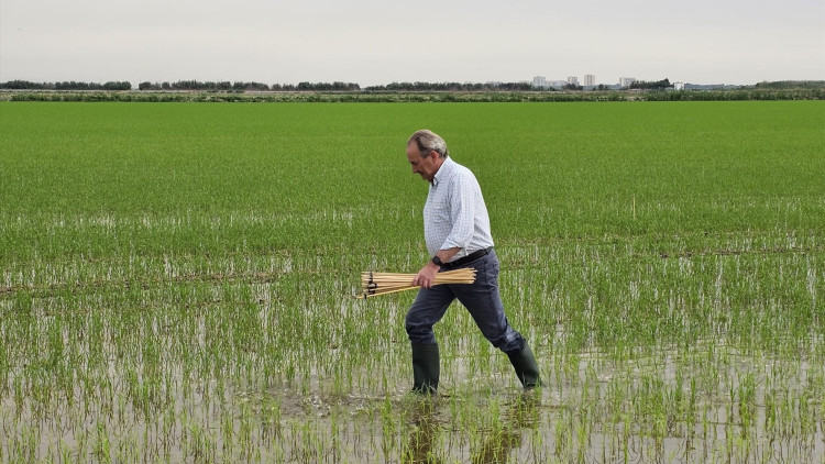 José Luis Aguirre, conseller d'Agricultura, Ramaderia i Pesca de la Generalitat Valenciana. Europa Press