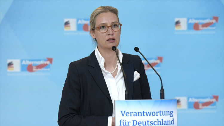  Una de les referents d'Alternativa per Alemanya, Alice Weidel| Europa Press