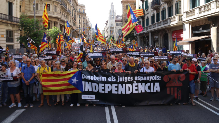 Manifestació de l'ANC a Barcelona. Agència Catalana de Notícies