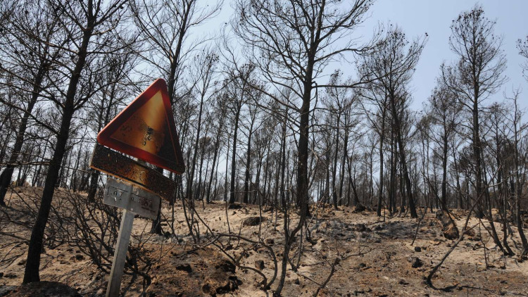 Cortes de Pallars, la setmana després del gran incendi de 2012.. Jesús Prats