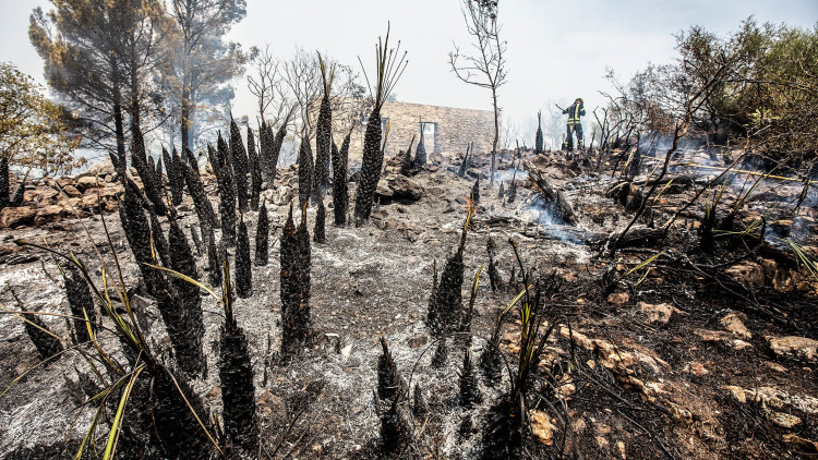 Les flames van arrasar amb un paisatge absolutament icònic i marcat pel verd| Consorci de Bombers de la Diputació d'Alacant