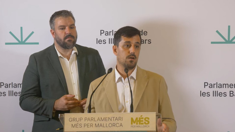 Els diputats Lluís Apesteguia i Ferran Rosa, de Més per Mallorca. Europa Press