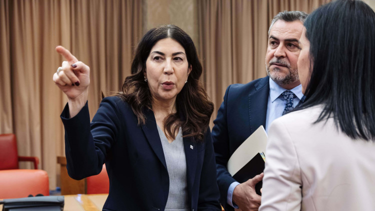 Rosana Morillo al Congrés dels Diputats. Europa Press