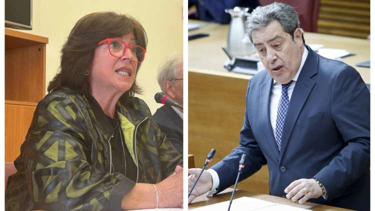 A l'esquerra, la presidenta de l'AVL, Verònica Cantó. A la dreta, el síndic de Vox, José María Llanos. EL TEMPS