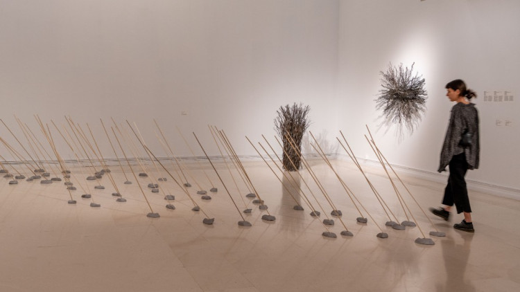 Vista de l'exposició dedicada a les artistes Senga Nengudi i Maren Hassinger. Juan García