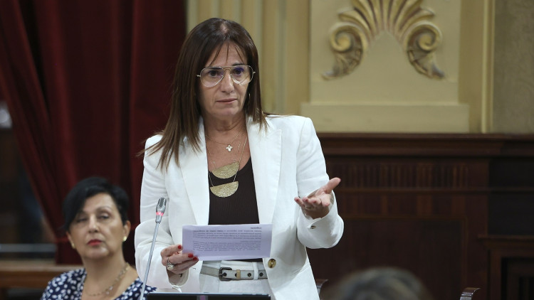 Manuela Cañadas, durant una intervenció al Parlament balear