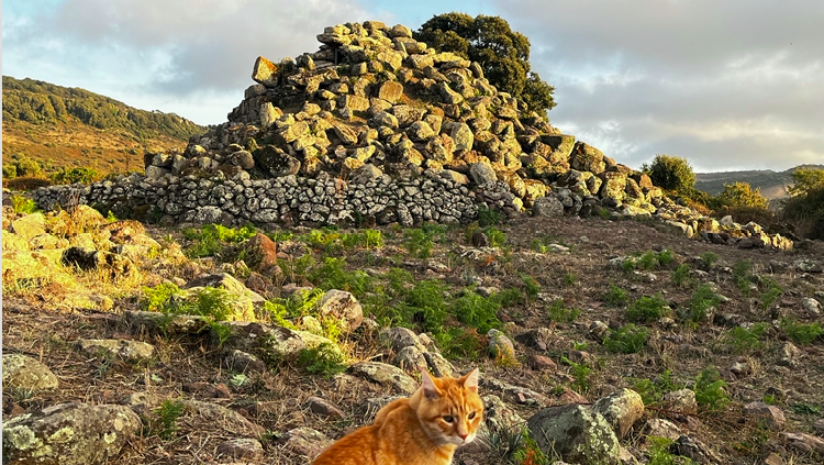 El jaciment de Nuraghe Appiu, a menys de 30 km. de l'Alguer // Àlex Milian