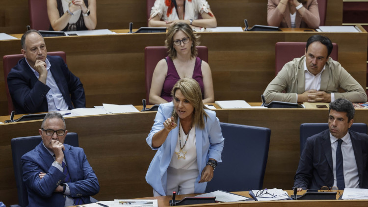 La vicepresidenta valenciana, Susana Camarero, a les Corts Valencianes| Europa Press.