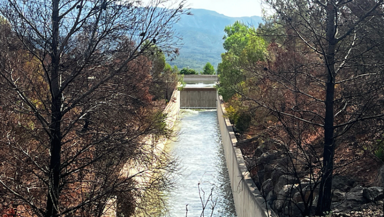 Sortida del Canal Xerta-Sénia en un paratge cremat per l'incendi de Paüls. Àlex Milian