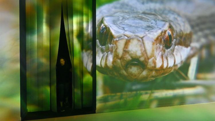 Una visitant accedeix a la primera sala de l'experiència immersiva Som Natura.. © Fundació "la Caixa"