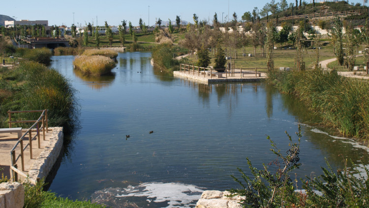 El parc 'La Marjal' d'Alacant