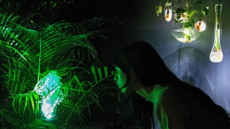 La instal·lació 'Radix'. Juan García