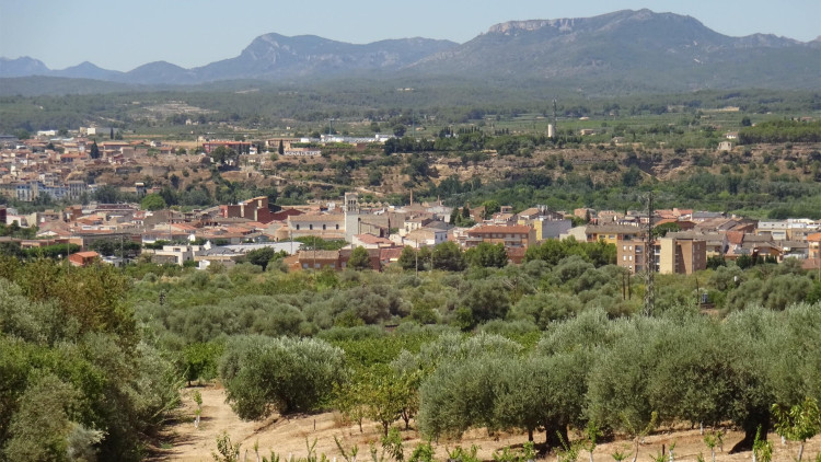 Mora la Nova, a la Ribera d'Ebre, compta 3.309 habitants. Juanjo Durán