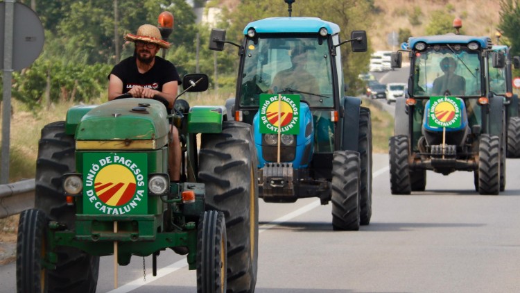 Mobilització aquest divendres a Vilafranca del Penedès. ACN