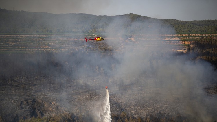 El combustible que alimenta els incendis| Europa Press