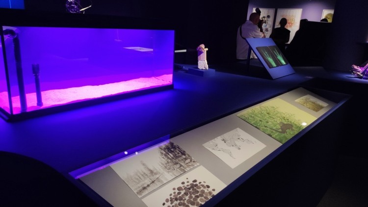 Un dels espais de la mostra de Melanie Smith en l'IVAM