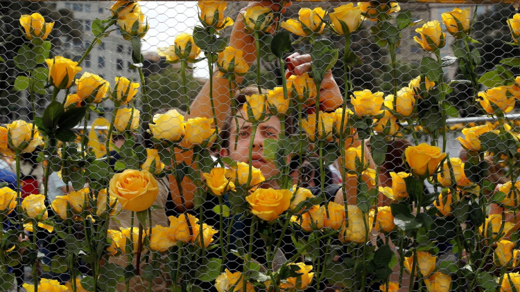 Roses grogues a l'stand d'Òmnium Cultural a la Plaça Catalunya de Barcelona.. EFE