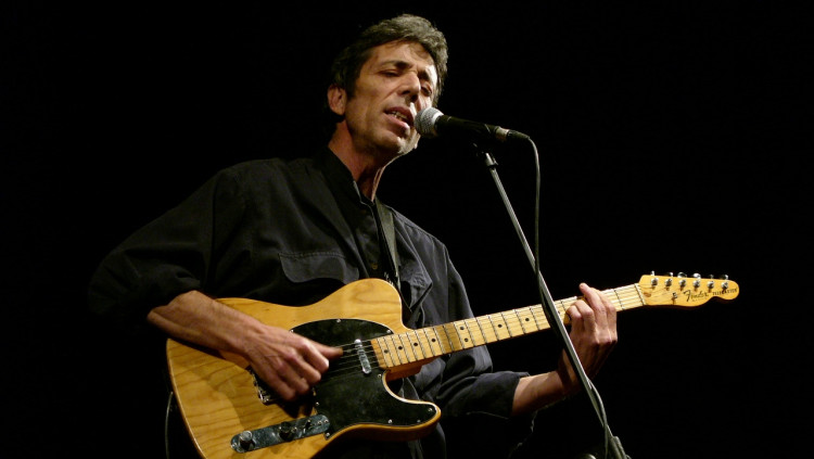 El músic valencià Remigi Palmero. Lluís Llapissera