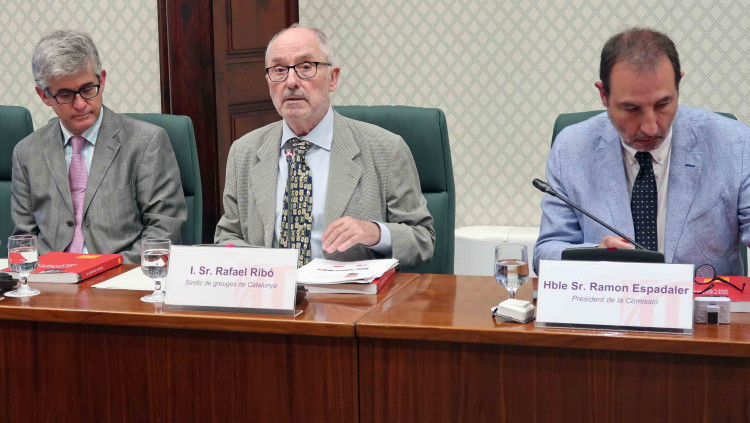 El Síndic de Greuges, Rafael Ribó, en comissió parlamentària. Parlament de Catalunya (Job Vermeulen)