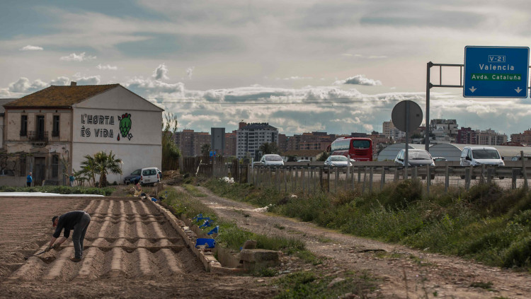 La construcció d’un tercer carril a la V-21 és una mossegada de 80.000 metres quadrats sobre una les zones d’horta més productives| Miguel Lorenzo