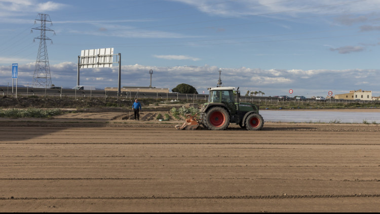 Les màquines treballen els camps d'Alboraia (Horta)| Miguel Lorenzo