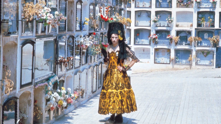 José Pérez Ocaña.  L’any 1978  Ventura Pons filma Ocaña, retrat intermitent a la plaça Reial, el Montmartre i també el Montparnasse català, i a les Rambles, les de debò.
